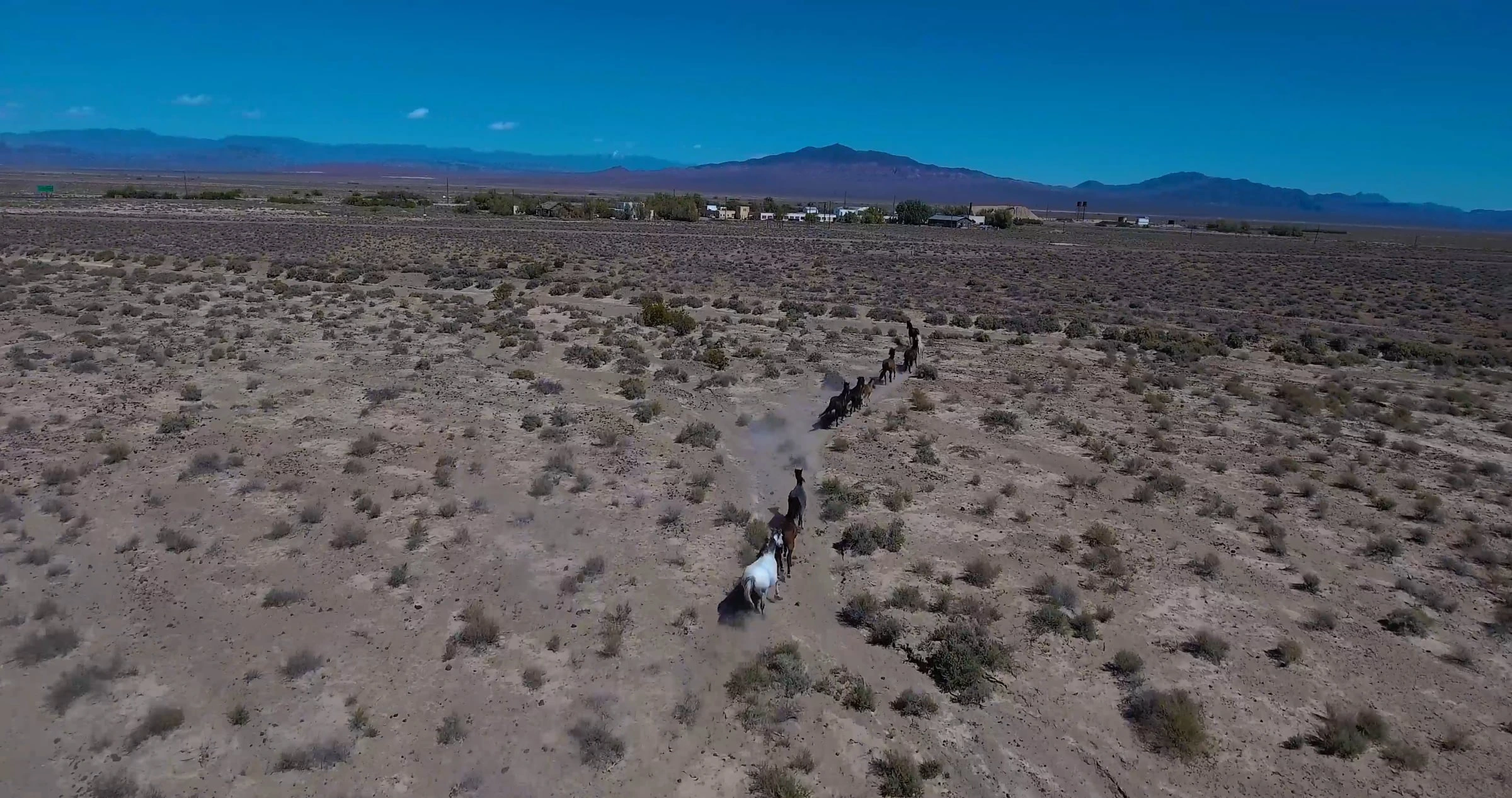 Wild horses running across desert landscape beneath clear blue skies and mountains.